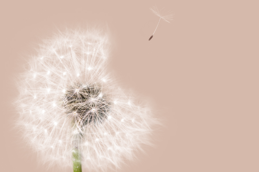 SYSTEEM COMFORT LIGHT I