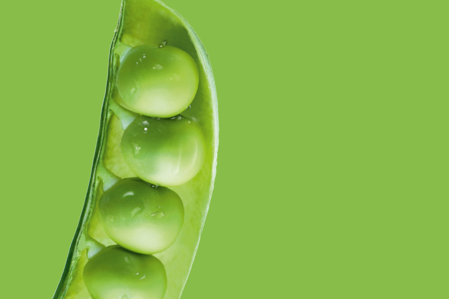 SYSTEEM ECONOMY BASIC